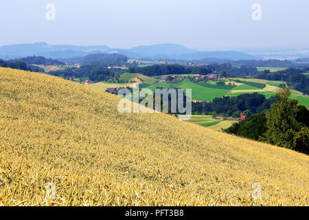 Panoramablick auf die Landschaft des Emmental Valley in (berühmt für Käse), Schweiz. Stockfoto