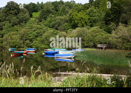 Ruderboote gespeichert mit Abdeckungen in Balmaha, Loch Lomond, Schottland mit Enten ruhen auf der Helling Stockfoto