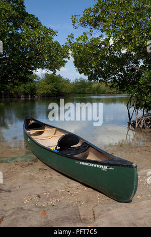USA, Florida, North Miami City, Oleta River State Park, grüne Kanu auf der Bank von Oleta River Stockfoto