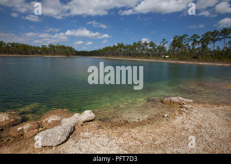 USA, Florida, Everglades National Park, lange Pine Key Trail, Kiefer Lichtungen See Stockfoto