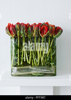 Tulpen in Rosmarin Blumenarrangements Stockfoto