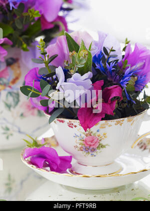 Blumen in floralen Vintage Tee Set, Clematis, Sweet Pea, centaurea angeordnet, Eukalyptus parvifolia Stockfoto