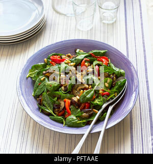 Paprika, Aubergine und Spinat, Salat mit Pinienkernen und Basilikum Dressing Stockfoto