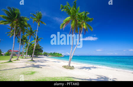 Strand und Kokospalmen plm-Baum Stockfoto