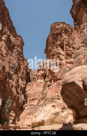 Der Siq, alte Canyon in der Weise an das Schatzamt in Petra, Jordanien Stockfoto