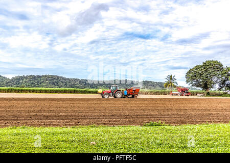 Traktor pflügt Zuckerrohrfelder Stockfoto