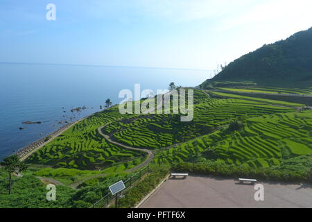 Senmaida Reisterrassen in Wajima, Japan Stockfoto