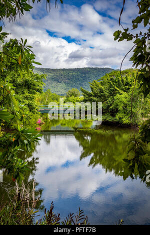 Landschaftlich schöner Blick auf den Daintree Fluss und die Berge Stockfoto