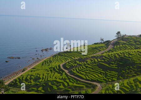 Senmaida Reisterrassen in Wajima, Japan Stockfoto