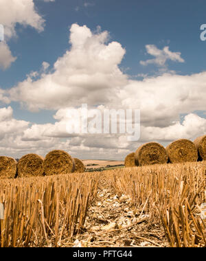 Runde Strohballen in einem Chalk Weizenfeld auf dem South Downs Way, Amberley, West Sussex. Hohe downland in der Ferne bei bewölktem Himmel. Stockfoto