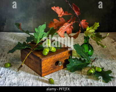 Noch immer leben mit einem Zweig der Eiche und Eicheln. Jahrgang. Stockfoto