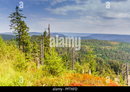 Impressionen aus dem Schwarzwald Stockfoto