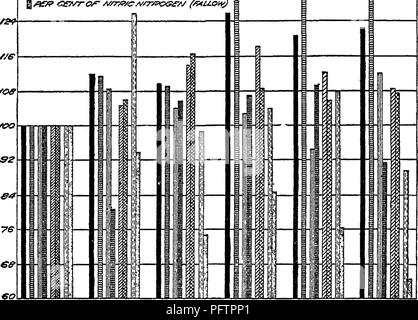 Im Mittelpunkt dieser Forschung steht die Beziehung zwischen Bodenbakterien und Bodenfruchtbarkeit. Es erforscht, wie Bakterien zur Gesundheit des Bodens beitragen, indem sie mit organischem Material interagieren und den Nährstoffkreislauf verbessern und die Ernteerträge beeinflussen. Die Studie veranschaulicht die Bedeutung von Mikroorganismen in der Landwirtschaft und ihre Rolle für die Erhaltung der Bodenvitalität. Stockfoto
