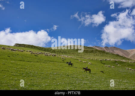 Kirgisische horserider, Jyrgalan Tal, Kygyzstan Stockfoto