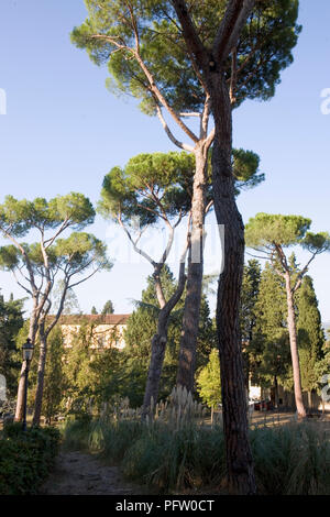 Via delle Porte Sante, nähert sich San Miniato al Monte, Florenz Stockfoto