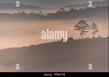 Greats Himmel und Wolken der Landschaft mit Nebel in der Dämmerung, Sonnenaufgang, Sonnenuntergang. pine Wald im Nebel mit Sonnenstrahlen, Sonnenschein Stockfoto