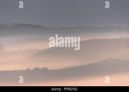 Greats Himmel und Wolken der Landschaft mit Nebel in der Dämmerung, Sonnenaufgang, Sonnenuntergang. pine Wald im Nebel mit Sonnenstrahlen, Sonnenschein Stockfoto