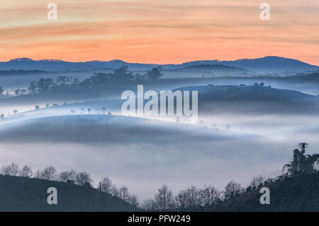 Greats Himmel und Wolken der Landschaft mit Nebel in der Dämmerung, Sonnenaufgang, Sonnenuntergang. pine Wald im Nebel mit Sonnenstrahlen, Sonnenschein Stockfoto