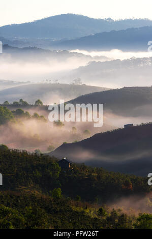 Greats Himmel und Wolken der Landschaft mit Nebel in der Dämmerung, Sonnenaufgang, Sonnenuntergang. pine Wald im Nebel mit Sonnenstrahlen, Sonnenschein Stockfoto