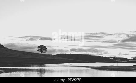 Greats Himmel und Wolken der Landschaft mit Nebel in der Dämmerung, Sonnenaufgang, Sonnenuntergang. pine Wald im Nebel mit Sonnenstrahlen, Sonnenschein Stockfoto