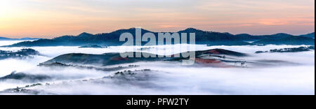 Greats Himmel und Wolken der Landschaft mit Nebel in der Dämmerung, Sonnenaufgang, Sonnenuntergang. pine Wald im Nebel mit Sonnenstrahlen, Sonnenschein Stockfoto