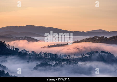 Greats Himmel und Wolken der Landschaft mit Nebel in der Dämmerung, Sonnenaufgang, Sonnenuntergang. pine Wald im Nebel mit Sonnenstrahlen, Sonnenschein Stockfoto