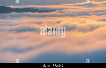 Greats Himmel und Wolken der Landschaft mit Nebel in der Dämmerung, Sonnenaufgang, Sonnenuntergang. pine Wald im Nebel mit Sonnenstrahlen, Sonnenschein Stockfoto