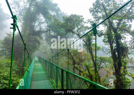 Hängende Braut in Costa Rica Nebelwald. Stockfoto