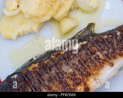 Ganze Wolfsbarsch Fisch und Kartoffel Salat auf Teller zum Mittagessen Top View Stockfoto