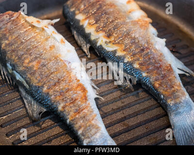 Ganze Wolfsbarsch Fisch kochen auf heißen Grill Pfanne Stockfoto