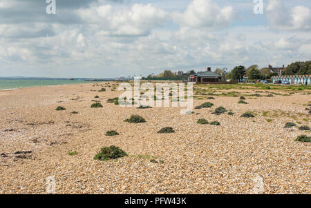 Strand und Meer in Southsea in Portsmouth, Hampshire, England. Mit Cafe und nicht erkennbaren Personen auf Abstand. Stockfoto