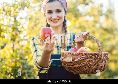 Frau auf obstplantage Apple zeigt in die Kamera Stockfoto