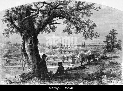 Schwarz und Weiß Vintage Print, ein paar Kinder in der Nähe von einem Baum auf Federal Hill im Vordergrund, mit Panoramablick auf die Stadt und den Lake Erie in den Hintergrund, die wahrscheinlich in Erie, Pennsylvania, in einer bearbeiteten Band William Cullen Bryant "Malerischen Amerika; oder, in das Land, in der wir Leben", 1872 veröffentlicht. Mit freundlicher Genehmigung Internet Archive. () Stockfoto