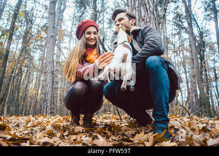 Paar von Frau und Mann spielt mit ihrem Hund im Herbst Stockfoto