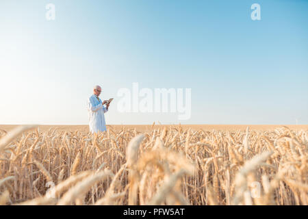 Landwirtschaft Wissenschaftler forschen in Korn Testfeld trackin Stockfoto