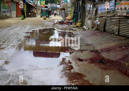 Bengalische Muslime schlachten ihre Tiere auf der Straße in Dhaka, der Hauptstadt von Bangladesch, am ersten Tag des Eid-Ul-Azha. Dhaka, Banglades Stockfoto