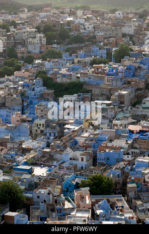 Blick auf die blaue Stadt Jodhpur, Rajasthan, Indien Stockfoto