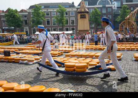 Alkmaar, Niederlande - Juni 01, 2018: Traditionelle Luftfahrtunternehmen Käse Käse auf einem hölzernen Bahre vor der Waag Gebäude während der Käse Stockfoto