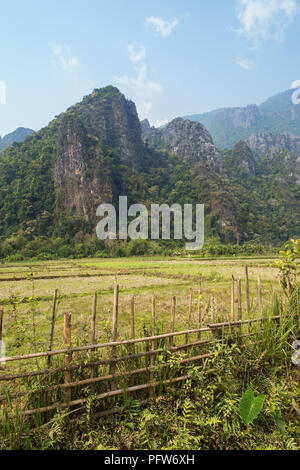 Wunderschöne Aussicht auf ein Feld und Karst Kalkstein Berge in der Nähe von Vang Vieng, Vientiane, Laos, Provinz an einem sonnigen Tag. Stockfoto