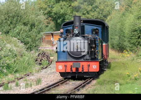 Ein Dampfzug der Chemin de fer de al Baie de Somme nähert sich der Bahnhof von Noyelles-sur-Mer. Stockfoto