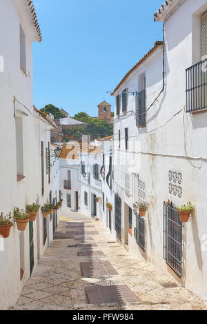 Wandern in einer ruhigen Gasse der weiß getünchten Häuser in Mijas, Andalusien Spanien an einem sonnigen Tag Stockfoto