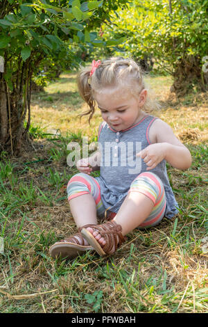 20 Monate altes Mädchen Spaß bewundern ihre Sandalen an einem U-Blueberry Farm Pick Stockfoto