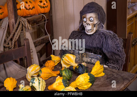 Hood River, Oregon, USA. Halloween Dekorationen von einem Skelett Lesen eines Ghost stories Buch, vor dekorative Kürbisse Stockfoto