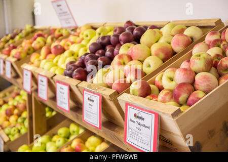 Hood River, Oregon, USA. Acane (Tokyo Rose) und andere Äpfel zum Verkauf an einem Obststand. Stockfoto