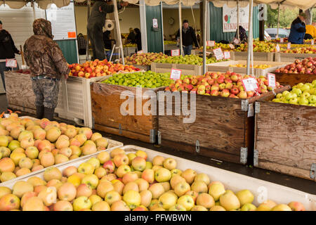 Hood River, Oregon, USA. Äpfel in große Fächer für Verkauf an einem Obststand. (Für die redaktionelle Nutzung) Stockfoto