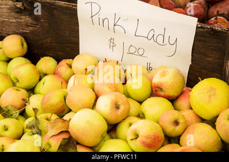 Hood River, Oregon, USA. Pink Lady Äpfel zum Verkauf an einem Obststand. Stockfoto