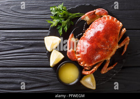 Köstliche traditionelle gekochte ganze braune Krabbe mit Soße, Zitrone und Petersilie auf einer Schiefertafel board Close-up auf einem Schwarzen Tisch. Horizontal oben Ansicht von oben Stockfoto