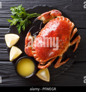 Lecker gekochte ganze braune Krabbe mit Soße, Zitrone und Petersilie auf einem Stein board Close-up auf einem Schwarzen Tisch. nach oben Ansicht von oben Stockfoto