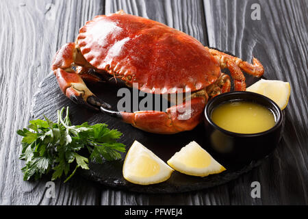 Serviert gekochten Leckerbissen brown Krabbe mit Soße, Zitrone und Petersilie auf einer Schiefertafel board Close-up auf einem schwarzen Holztisch. Leckeres Essen. Horizontale Stockfoto