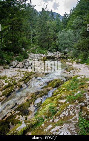 Wilden Fluss und Felsen Stockfoto